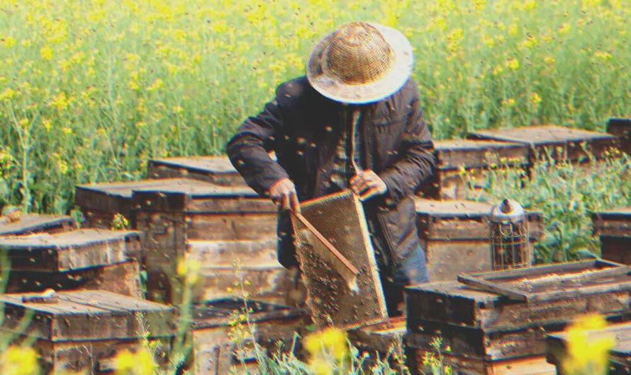 I Was Upset That My Grandfather Only Left Me an Old Apiary until I Looked into the Beehives — Story of the Day