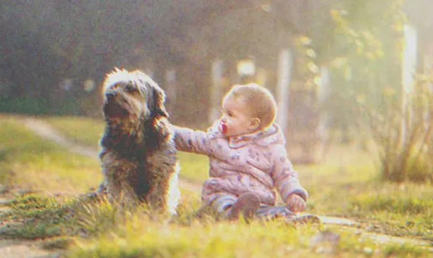 Man Hears His Dog Barking from Afar, Finds It Sitting near an Abandoned Baby – Story of the Day