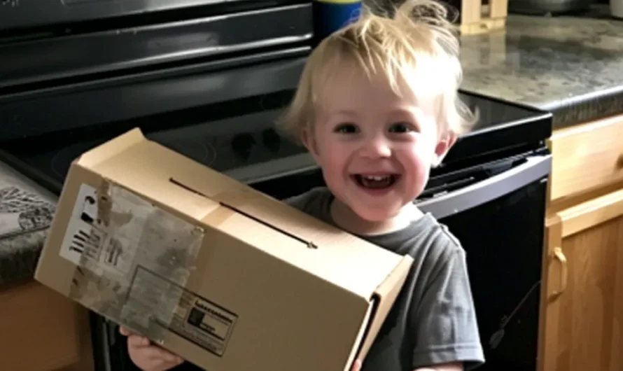 My Son Came Home with a ‘Gift’ from Our Neighbor — When I Saw What Was in the Box, I Decided to Move Out