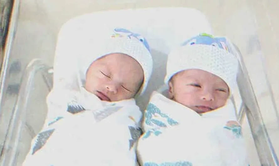 Man Who Is Certain Late Ex-wife Gave Birth to Only One Kid Meets Their Daughter’s Carbon Copy – Story of the Day