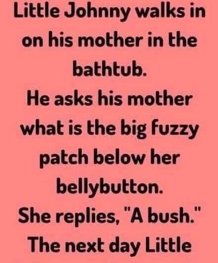 Little Johnny Walks in on his mother, read more below..