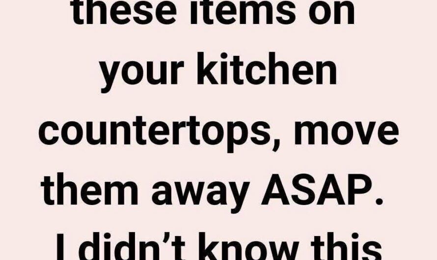 The 10 Things You Should Never Store on Your Kitchen Countertops — And Why Most People Still Do It