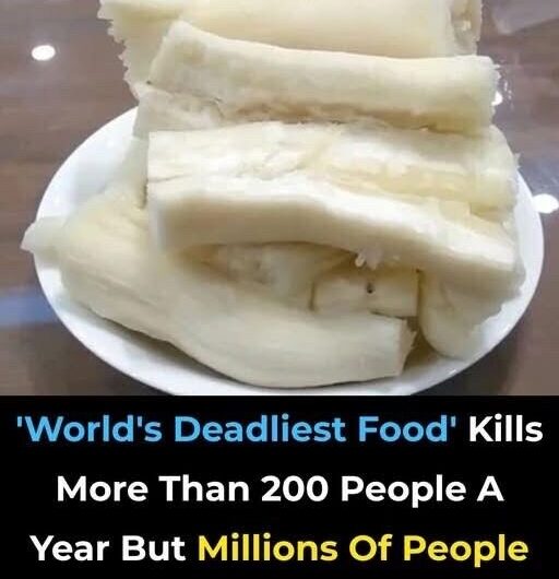Despite Being the ‘World’s Deadliest Food,’ 500 Million Still Consume It, and It Claims Over 200 Lives Annually