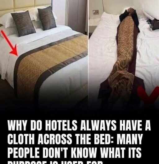 Many people don’t know what its purpose is used for 🤔 but now that I know, I don’t know if I wanted to know 👇😅 check in comms💬👇