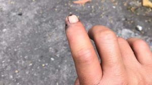 In several regions, while using their toilets, people were by…see more