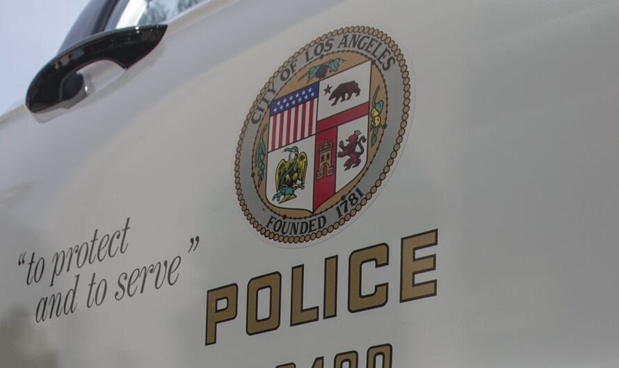 Son of the “Legend in Black” Dies in Los Angeles Highway Crash: Tributes Pour In