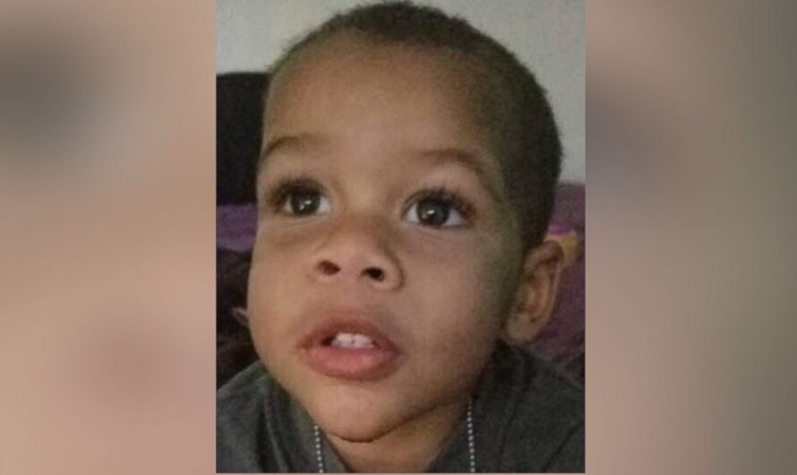 2-year-old boy who was missing, his mother avenged… See more