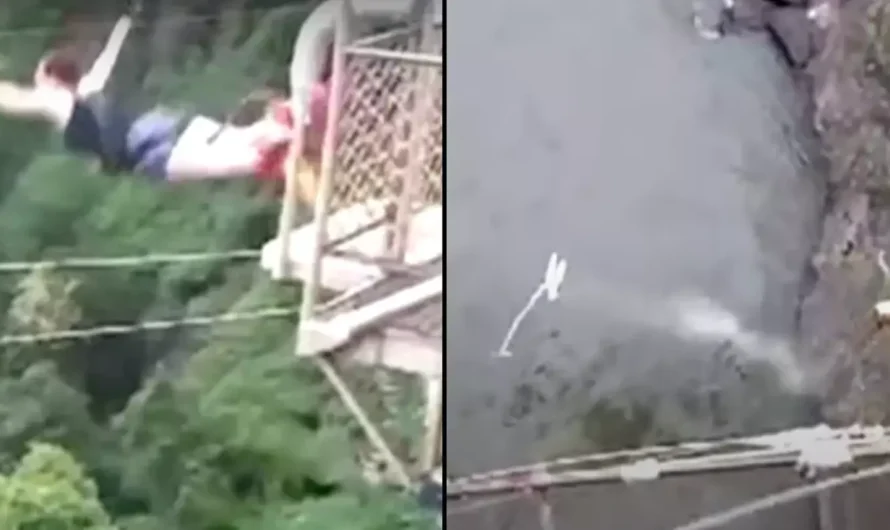 Woman F.alls 360ft Into Crocodile-Infested Waters After Bungie Cord Snaps…See more